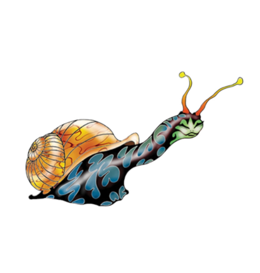 Shellbound Sage – Psychedelic Snail Sticker by Michael DuBois