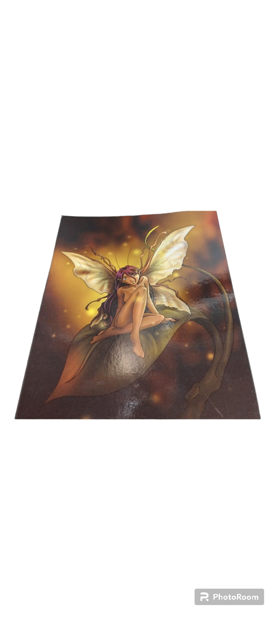 Whimsy Wings Postcard Spellbook