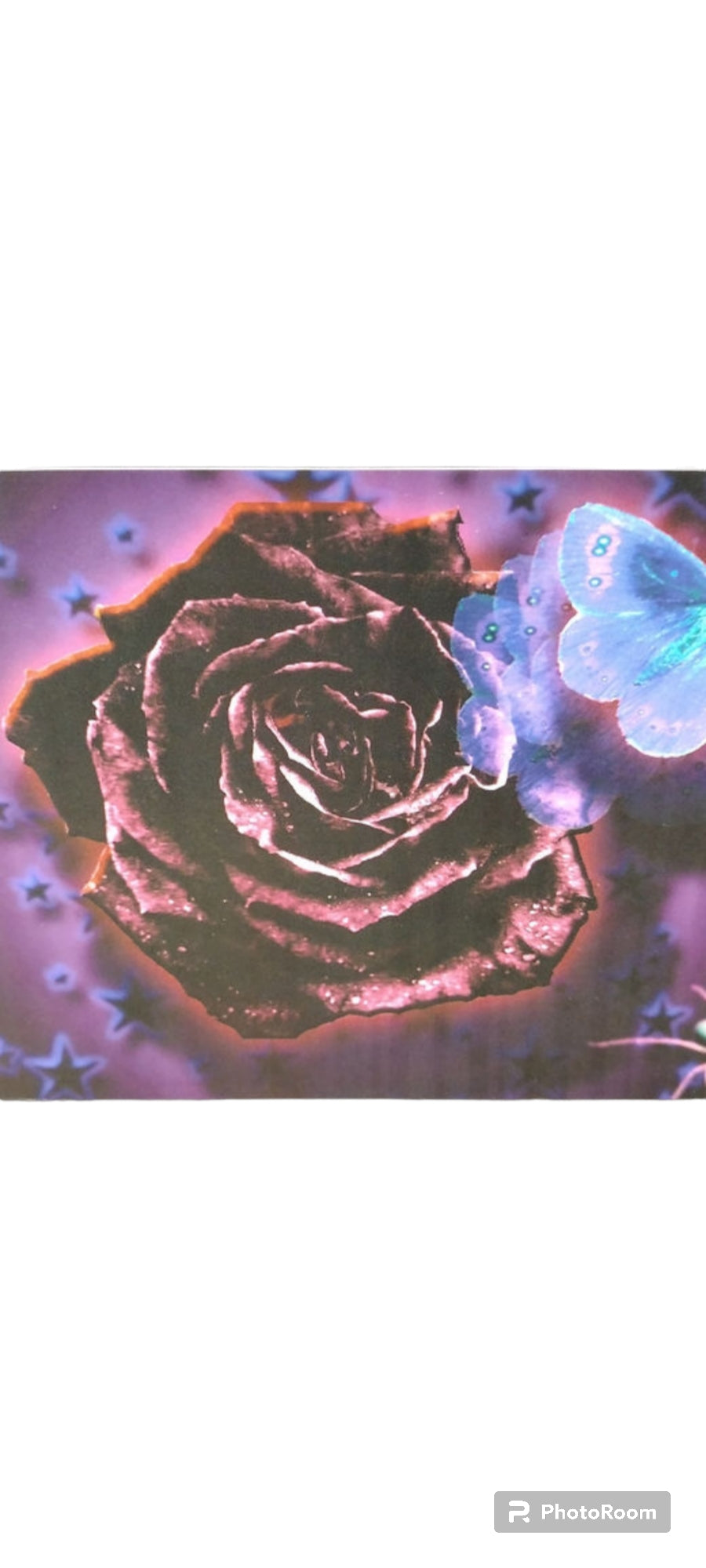 Floral Postcards