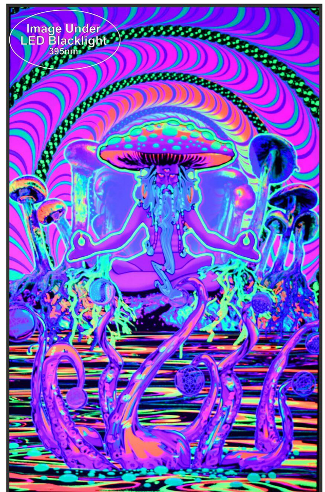 “Shroomadelica: The Cosmic Trip Print”