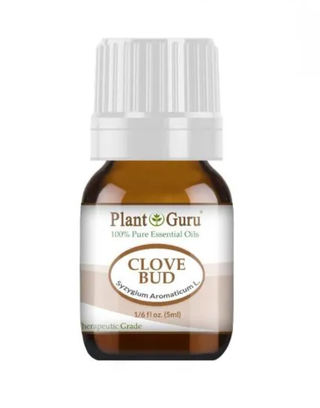 Plant Guru — Clove Bud Essential Oil | 5ml