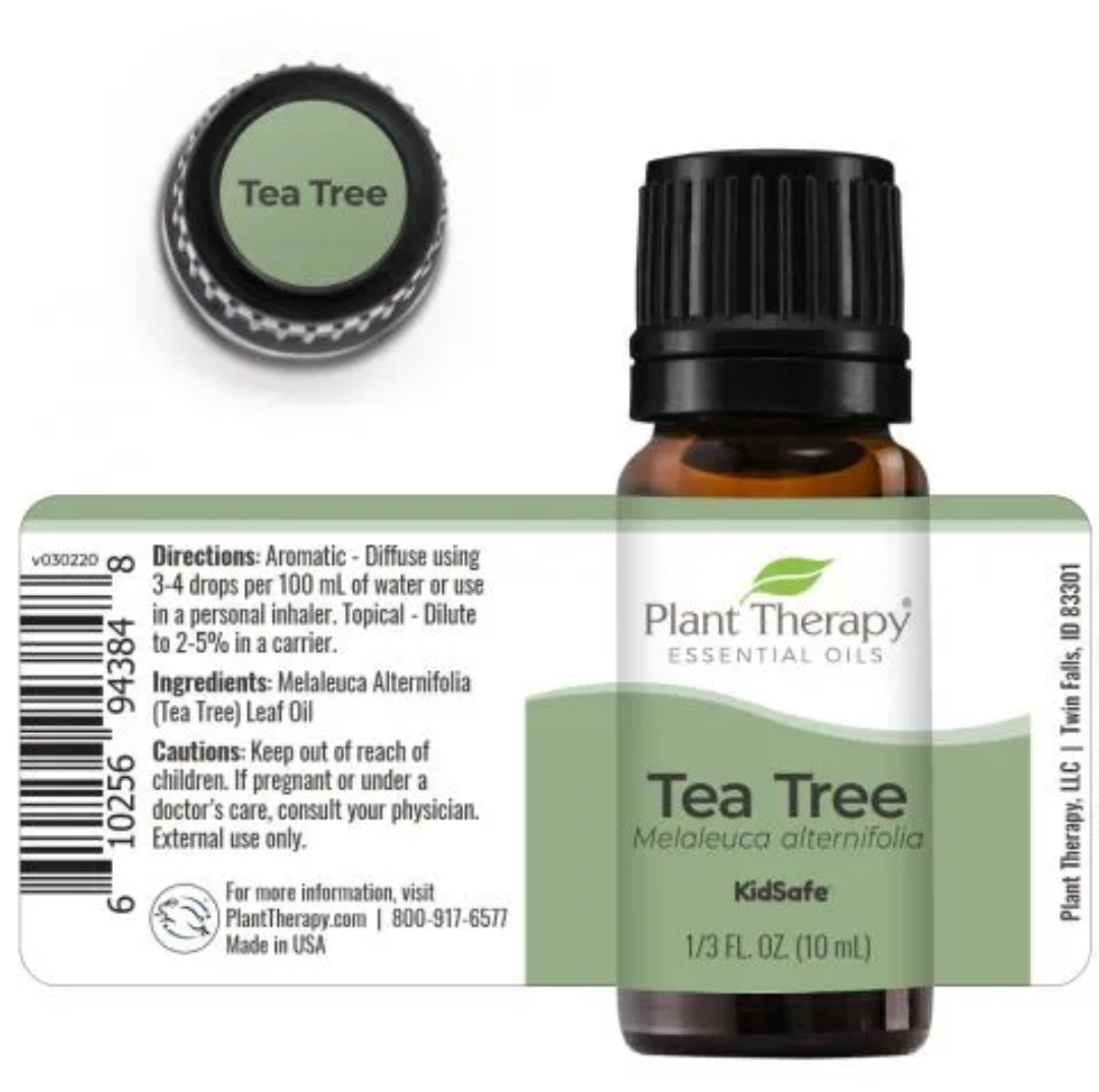 Tea Tree Essential Oil — Plant Therapy | 10ml