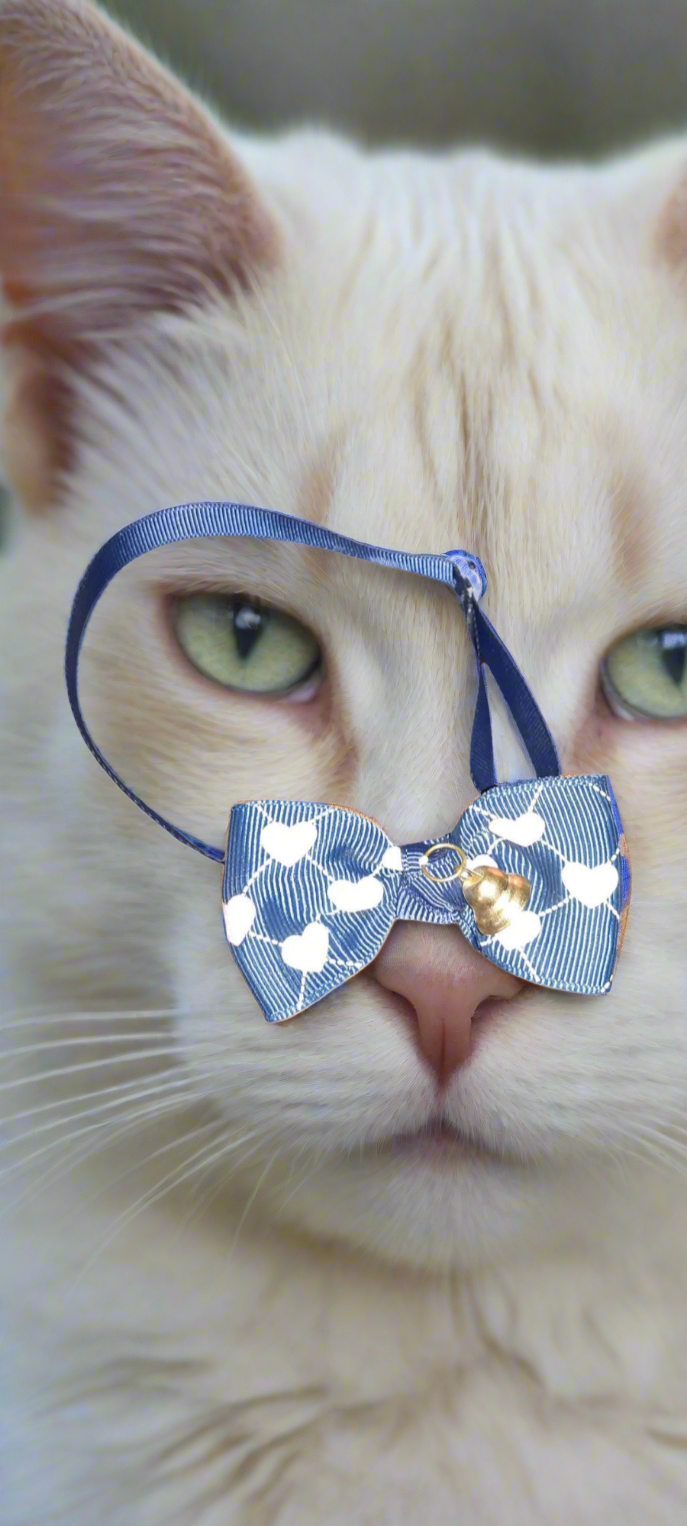 Bow collar