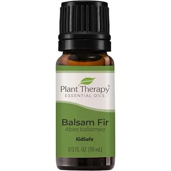 Balsam Fir Essential Oil — Plant Therapy | 10ml