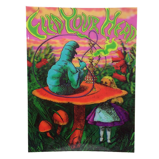 Feed Your Head: Alice’s Cosmic Trip 3D Wall Portal