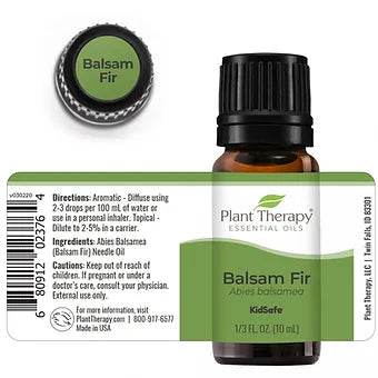 Balsam Fir Essential Oil — Plant Therapy | 10ml