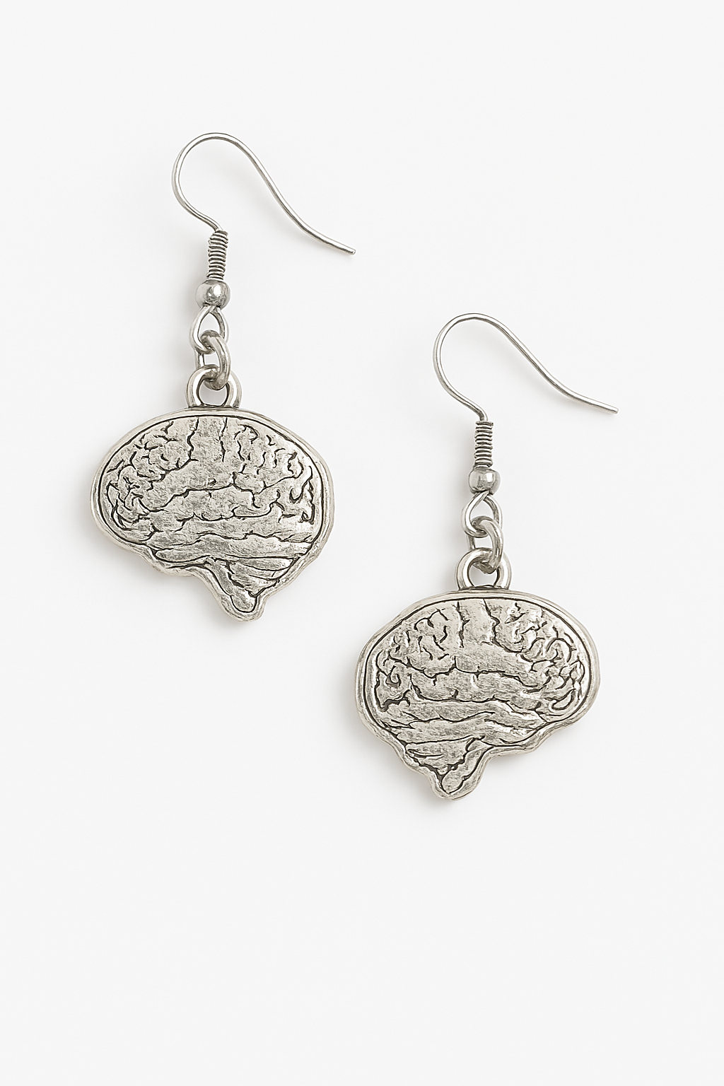 Anatomical Adornments – Stainless Steel Dangle Earrings