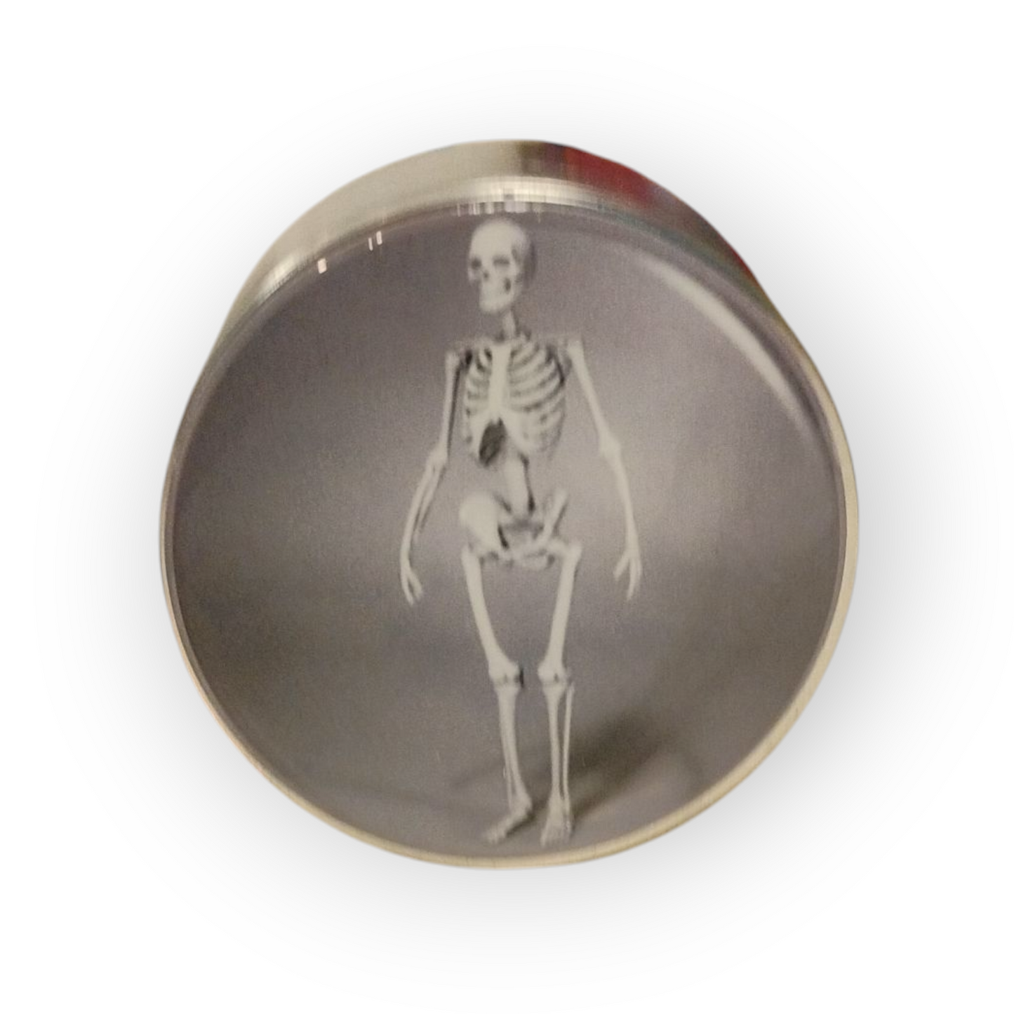 Grind to the Bone