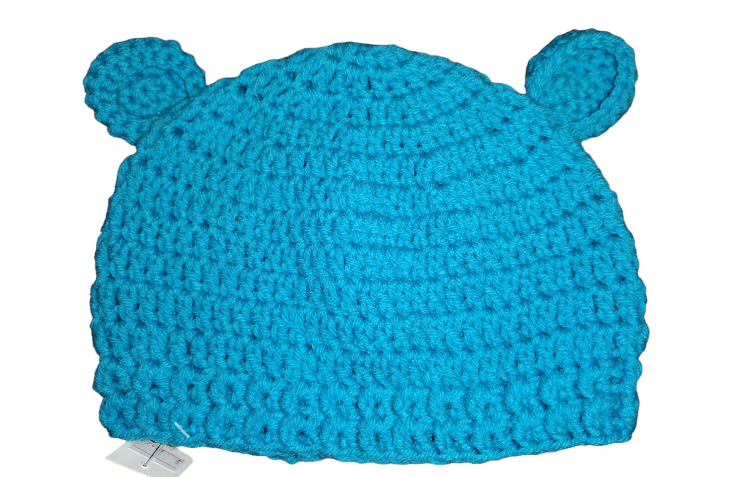 Blue Bear Snuggle Cap
