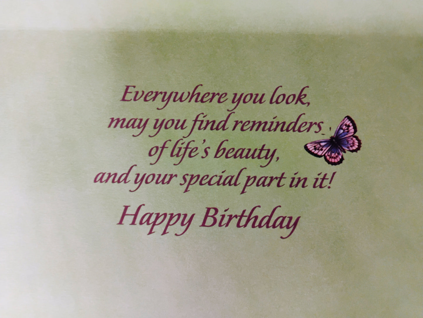 Bird & Butterfly Birthday Cards