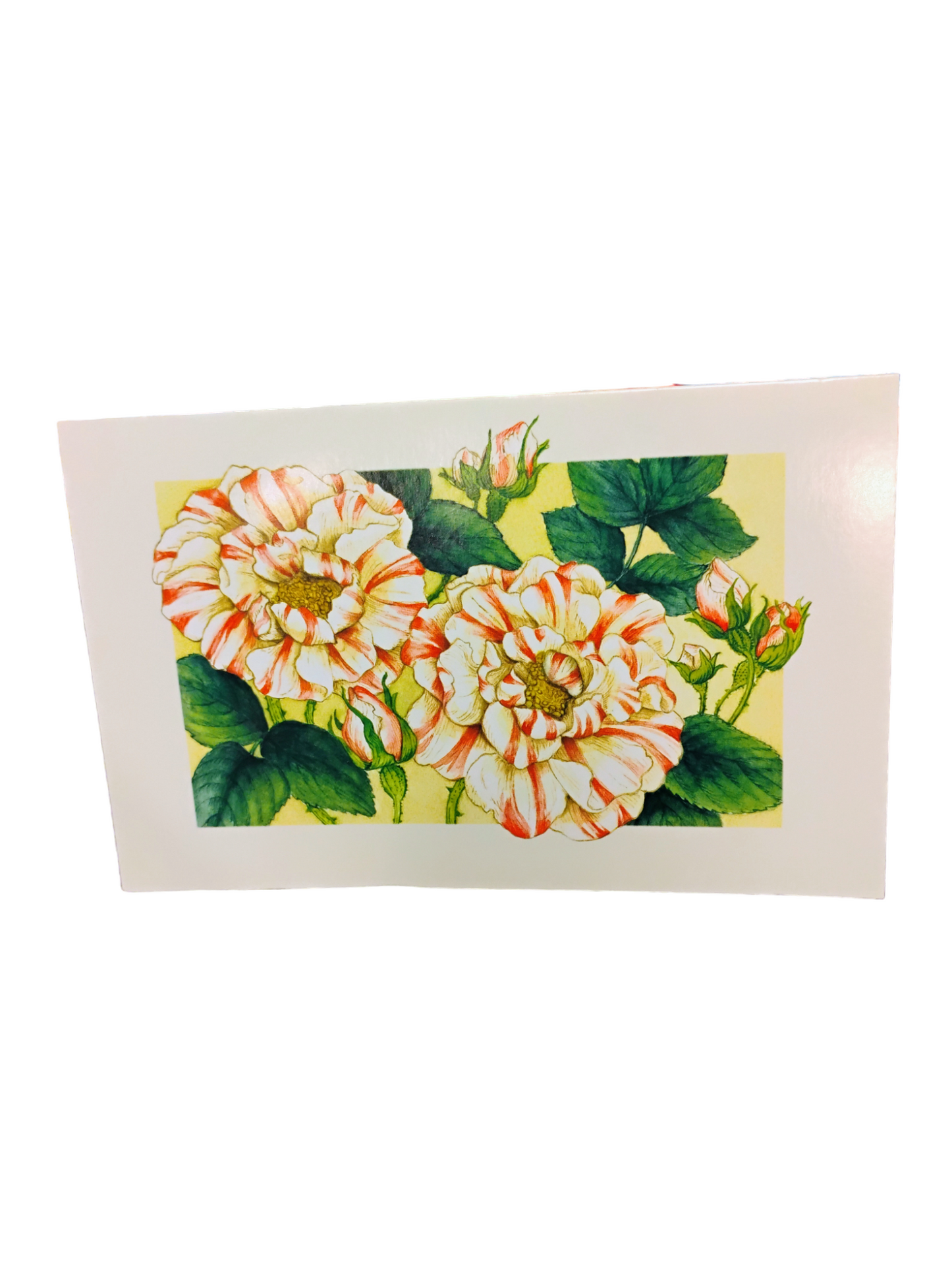 Colorful Floral Blank Cards