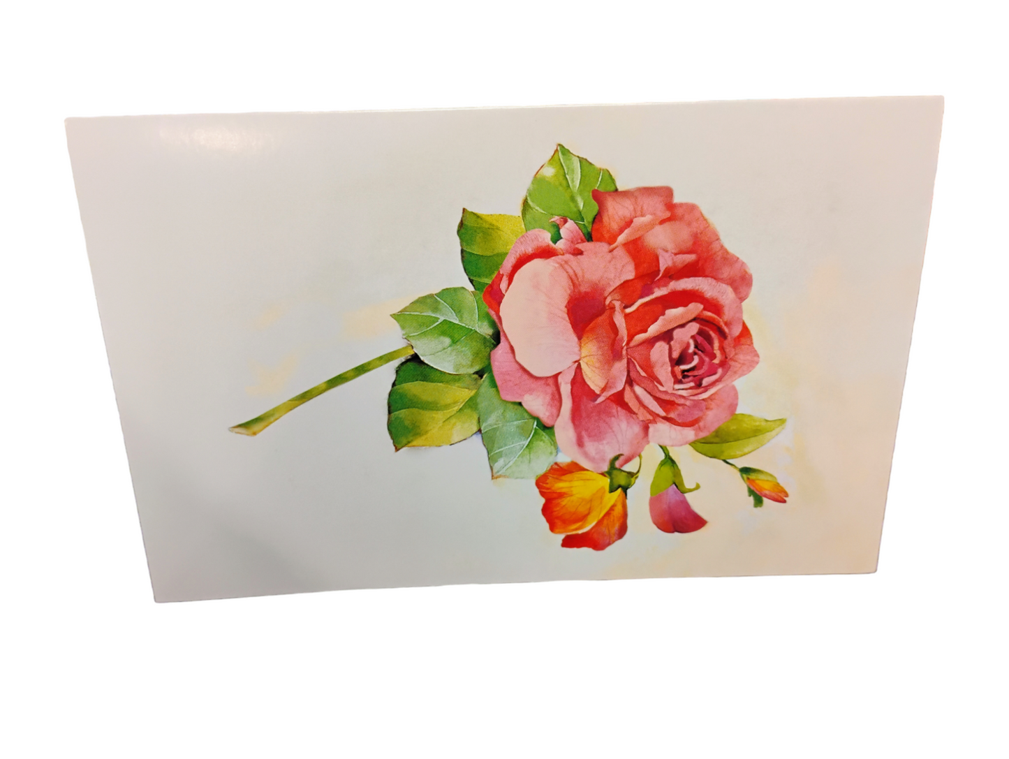 Colorful Floral Blank Cards