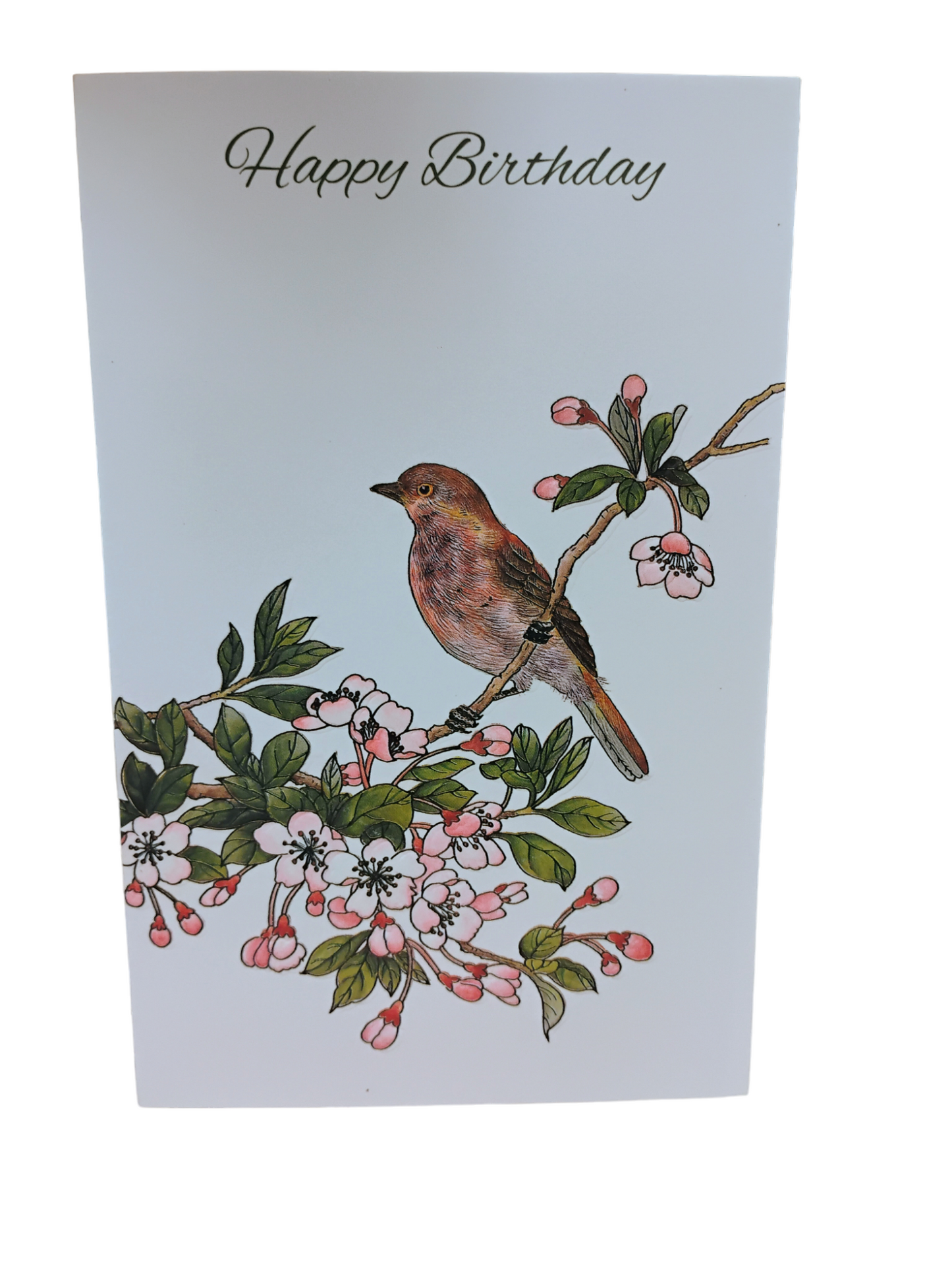 Bird & Butterfly Birthday Cards