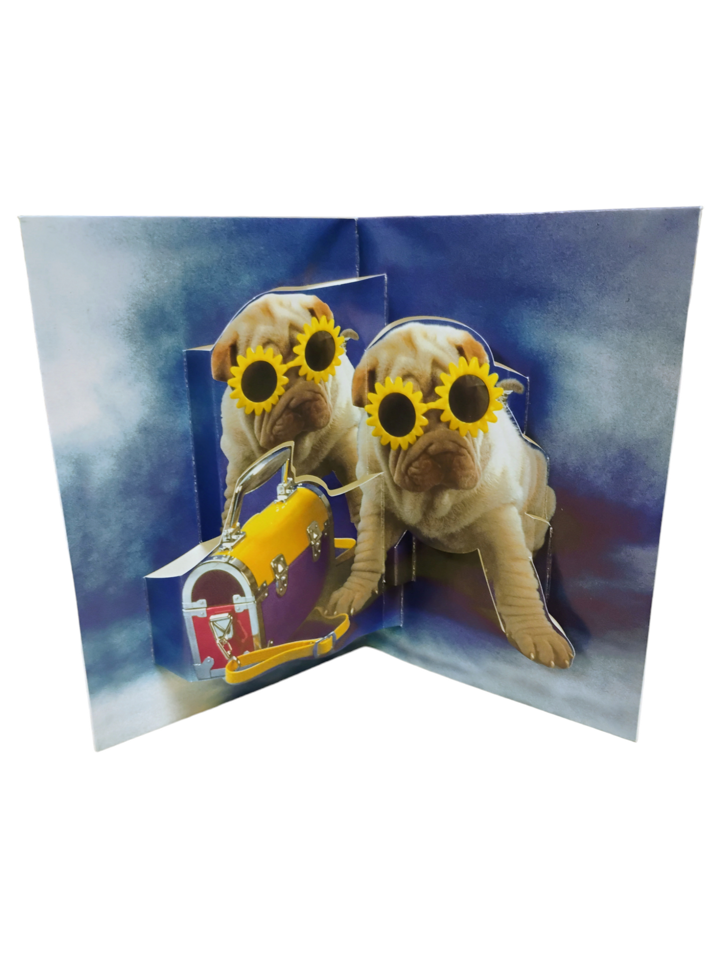 3D Animal Pop-up Birthday Cards