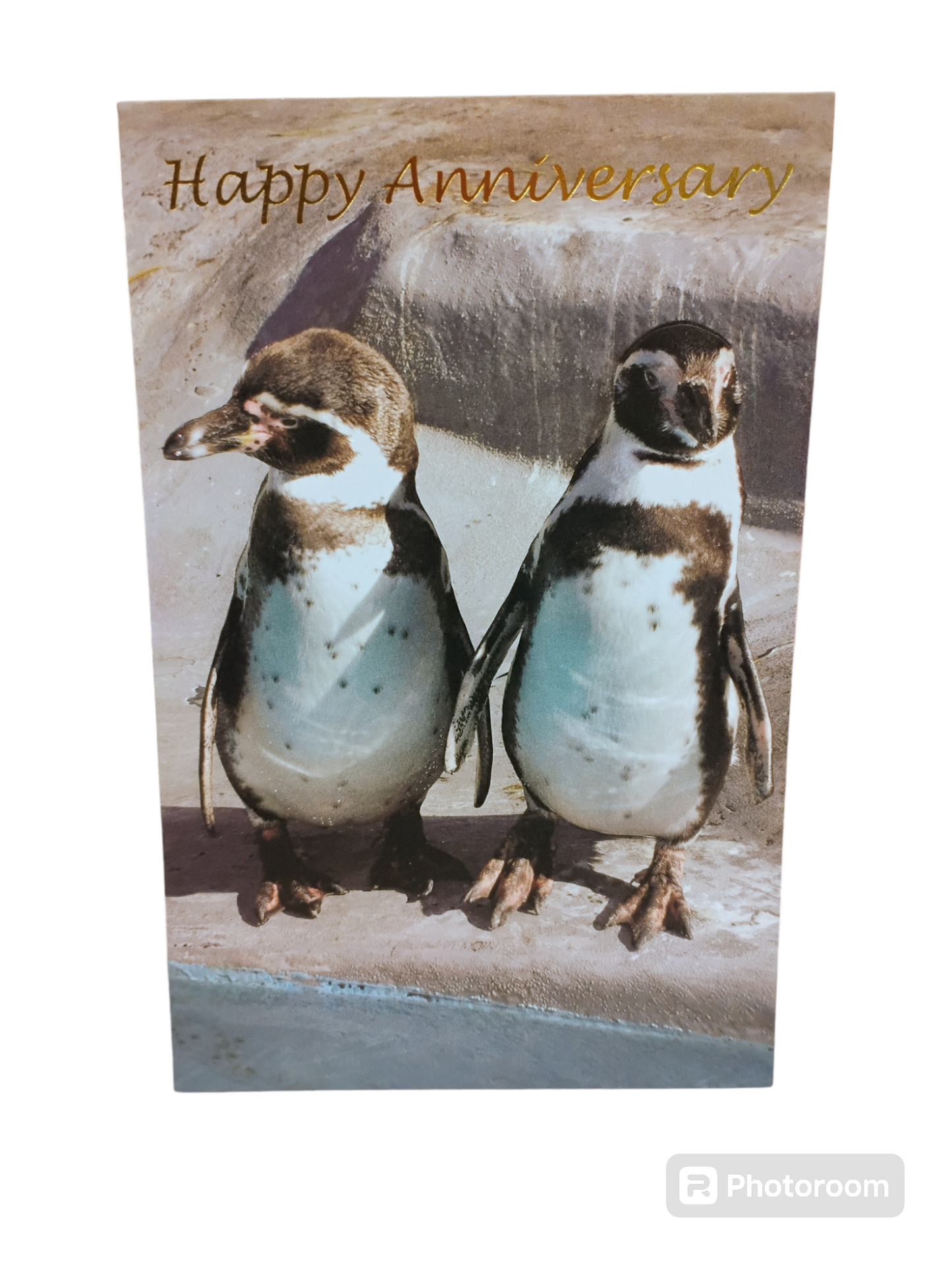 Anniversary Greeting Cards