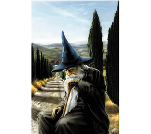 Whispers from the Otherwild Cards
