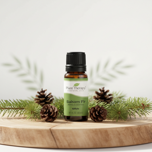 Balsam Fir Essential Oil — Plant Therapy | 10ml