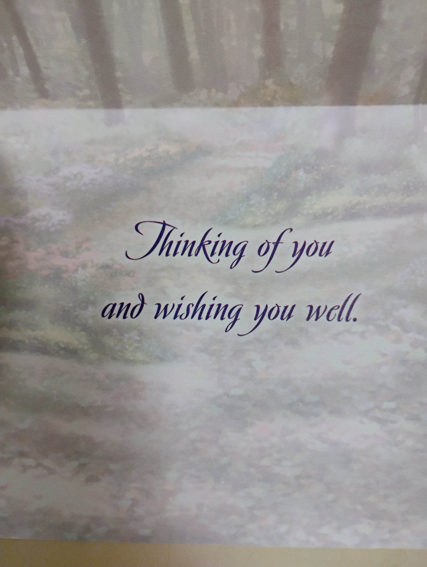 Get Well / Thinking of You Cards